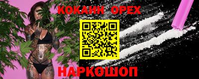 крисы Гусев