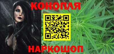 крисы Гусев
