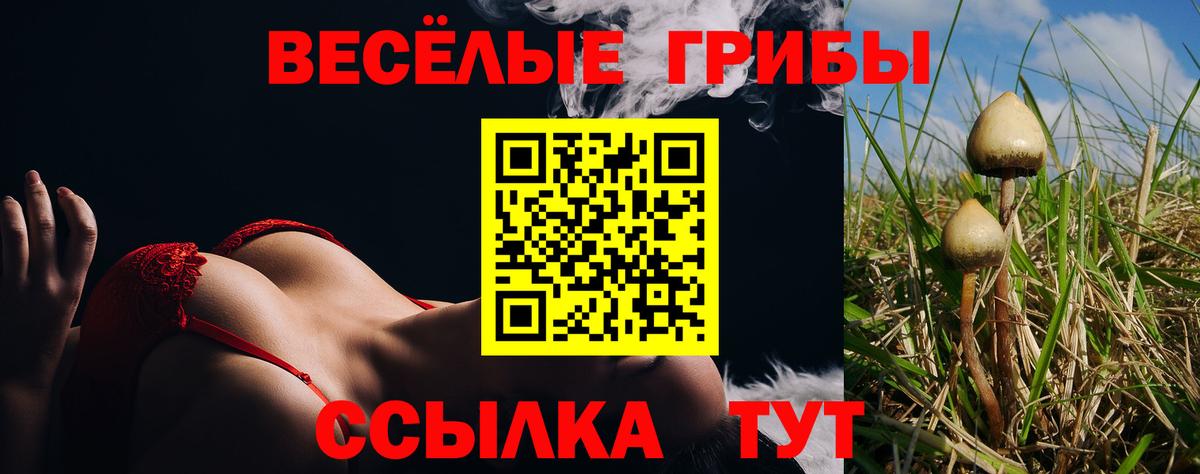 Галлюциногенные грибы Magic Shrooms  Псилоцибиновые грибы мухоморы  Мичуринск  Вход с VPN 