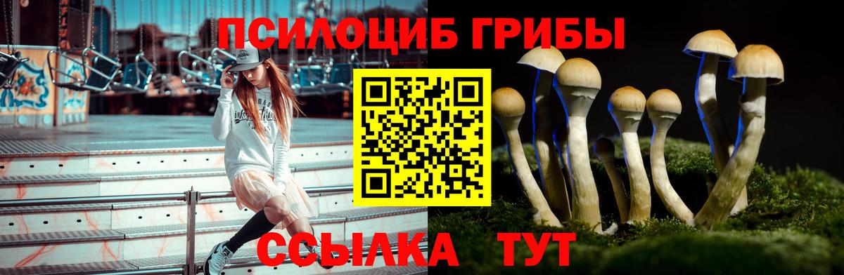 Псилоцибиновые грибы Magic Shrooms Мичуринск